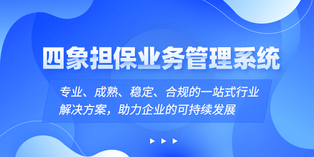 担保公司业务管理系统.png